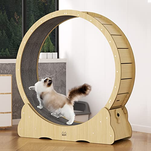 Katzenlaufrad, Robustes Katzenlaufband, natürliches Katzenlaufrad für Katzenübungen, Spinnrad für kleine/mittlere/große Katzen, 3 (Größe: 90 cm/35,4 Zoll)