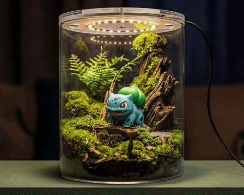NatureHolic Flaschengarten Glas mit LED Bottle Garden Set Wabi Kusa Terrarium dimmbar, Größe S