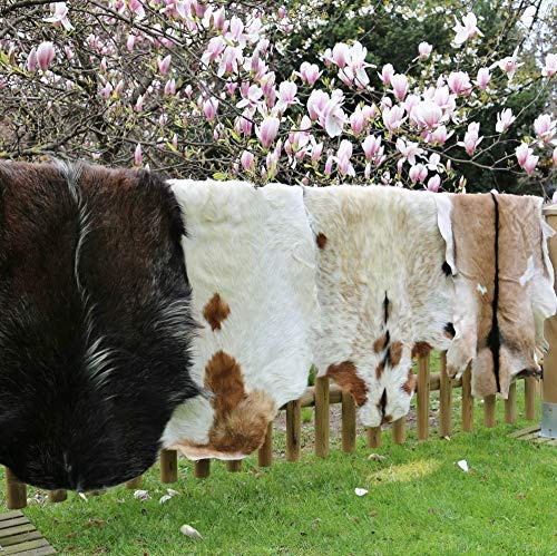 Hollert echtes Ziegenfell Naturfell Dekofell Kamindeko Wanddeko Läufer versch. Größen Größe 100-110