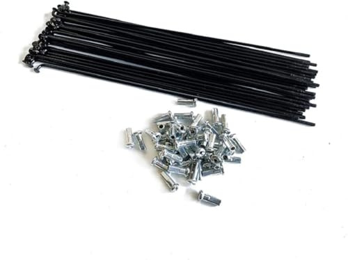 BIKECO 13G - Raggi per bicicletta, in acciaio al carbonio, 20 pezzi, J Bend, con nippli da 12 mm, 100 ~ 292 mm, per triciclo e bici elettrica (230 mm)