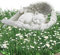 NETONDA Pierre commémorative en forme d'ange pour chat - 23,5 x 13,2 cm - En polyrésine - Statue commémorative - Statue commémorative - Statue commémorative - Figurine de chat (grande)
