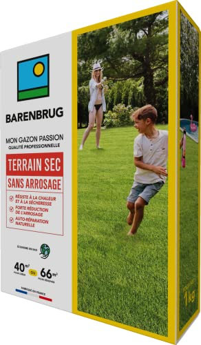BARENBRUG - Gazon Terrain Sec sans arrosage - Résiste à la Chaleur et à la Sécheresse - Forte Réduction de l’Arrosage - Autoréparation Naturelle - Économe en Eau - Fabriqué en France - 1KG