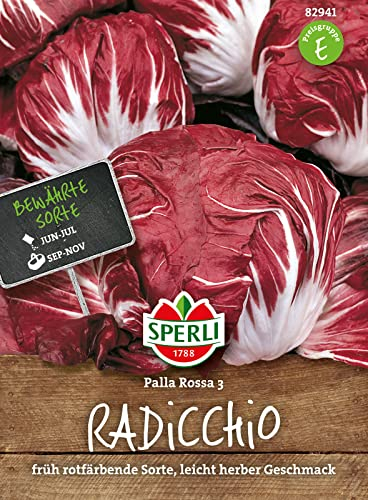 82941 Sperli Premium Radicchio Samen Palla Rossa 3 | Radicciosamen | Salat Samen | Kopfsalat Saatgut | Salatsamen