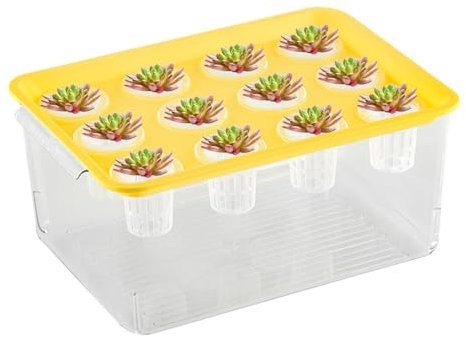 Aquarium-Fischzuchtbox, Brutkasten, Brutkasten, Brutkasten, Brutkasten, Brutkasten, Aquaponischer Übertopf und Aquarium, Desktop-Aquarium, Fischtank für Tischdekoration