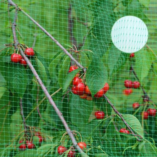 Vogelschutznetz 6x10m, Vogelnetz Engmaschig, Taubennetz Balkon, Hühnernetz, Pflanzennetz, Teichnetz, Vogelschutznetz Engmaschig, Gartennetz Obstbaumnetz für Teich, Balkon, Erdbeer, Löcher 2x2cm,Grün