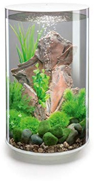biOrb 72067 TUBE 30 LED, weiß (30 L) Ø 32,8 x H 51,3 cm - Komplett-Set mit Acrylglas-Aquarium, LED-Beleuchtung, Filtersystem und Boden-Keramik