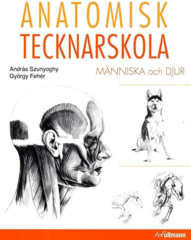 Anatomisk tecknarskola : människa och djur