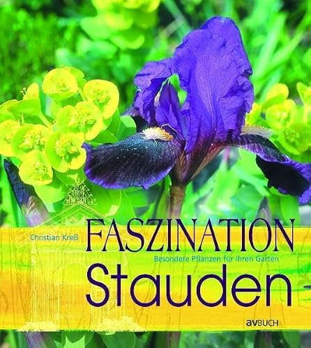 Faszination Stauden: Besondere Pflanzen für Ihren Garten