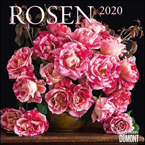 Rosen 2020 - Broschürenkalender - Format 30 x 30 cm: Broschürenkalender mit Ferientabelle