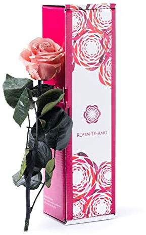 Rosen-Te-Amo |Infinity Rose Rosa am Stiel 27cm – Rosenduft |Echte Rose Geburtstagsgeschenk für Frauen, Ewige Rose in Geschenkbox| Konservierte Blume zum Weihnachten, Valentinstag, Mama, DekoGeschenk
