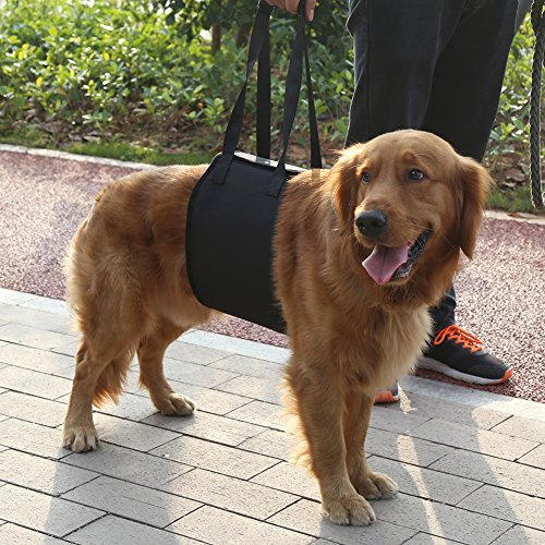 yosoo Gürtel AUX für die Haustiere Geschirr Klassische Traversenlift für die ältere Tiere oder Krank-Hund mit und Aussteigen Treppen, und Aussteigen Fahrzeuge