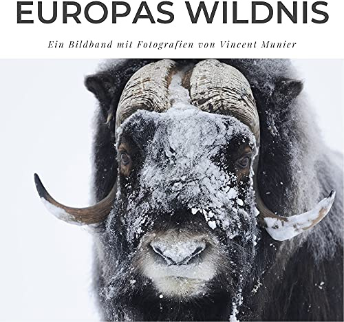 Europas Wildnis: Ein Bildband mit Fotografien von Vincent Munier