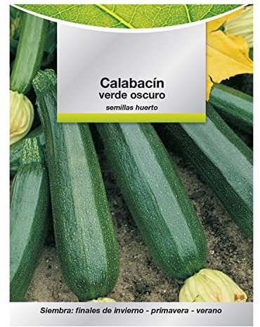 SATURNIA Semillas Calabacin Verde Oscuro (5 Gramos) Semillas Verduras, Horticultura, Horticola, Semillas Huerto.