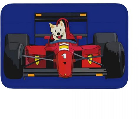 OOAHJEID Paillassons pour entrée Tapis de Sport antidérapant pour Chien de Course Automobile paillasson pour Chambre à Coucher Tapis de Bain Porte d'entrée Tapis de Maison