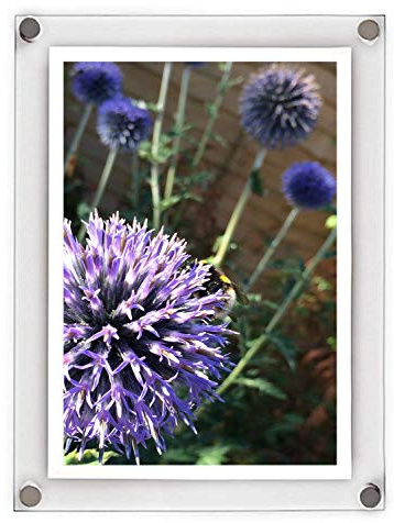 A4 Modern Acrylic Photo Frame - Stylish Wall Frame
