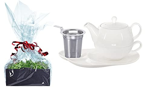 Buchensee Tee Geschenk Set, Tea for One mit Sieb Lena weiß 500ml aus Porzellan. Teekanne + Teetasse + Untertasse mit Ablageflächen + Sieb
