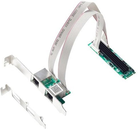 Qichill Carte réseau M.2 à double port 2,5 G Ethernet NIC M.2 22 x 80 mm Dimensions B Key et M Key 2500 Mbps Chipset RTL8125B