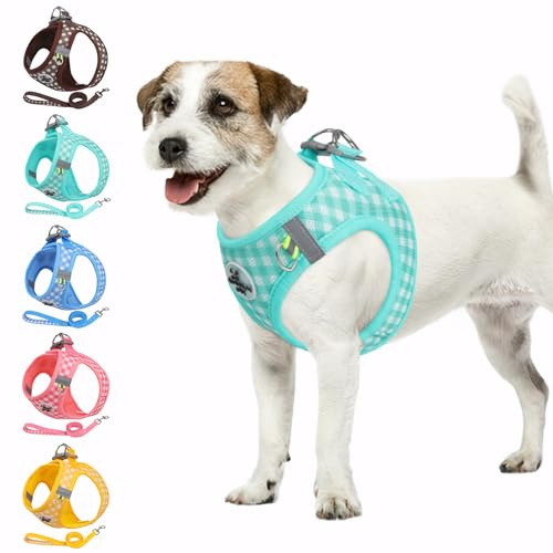 Savlot Welpengeschirr Mitwachsend Hundegeschirr für kleine Hunde, Step-in Design, Weiches & Atmungsaktives Sicherheitsgeschirr für Welpen und Junghunde (XS-L, Grün)