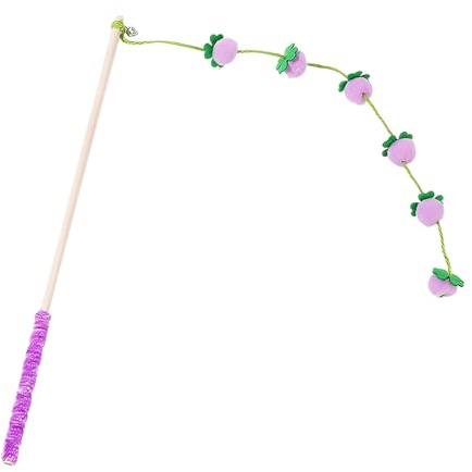 CGACCSD Jouet pour chat - Bâton interactif avec design fruit pour auto-jeu - Canne de jeu pour chats en bois - Pour jeu de chatons en intérieur contre l'ennui avec motifs oiseaux, poissons et souris