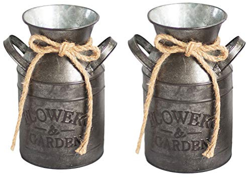 Lot de 2 pichets en métal Rustique avec Pot à Lait à 2 poignées avec Corde de Jute Vintage Français Pichet Vase en Fer galvanisé Porte-Fleurs Décor pour Vase de Fleurs séchées Arti