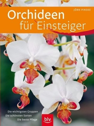 Orchideen für Einsteiger: Die wichtigsten Gruppen · Die schönsten Sorten · Die beste Pflege