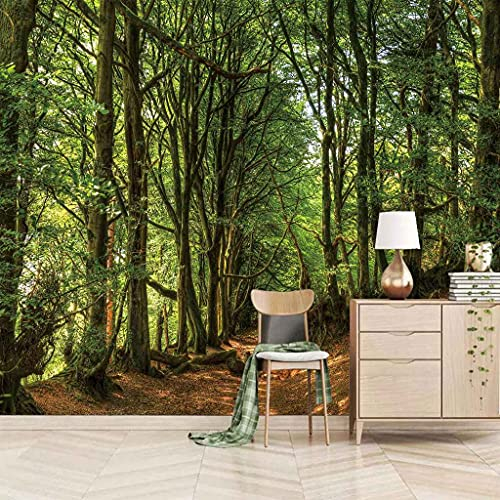 FVGKYS Wandbilder Schlafzimmer Erwachsene Kinder Tapete Plakate 3D Naturlandschaft Des Grünen Waldes Selbstklebend Wandgemälde Wandtattoo Kunst Dekoration Für Wohnzimmer Küche Wanddekoration 350x256cm