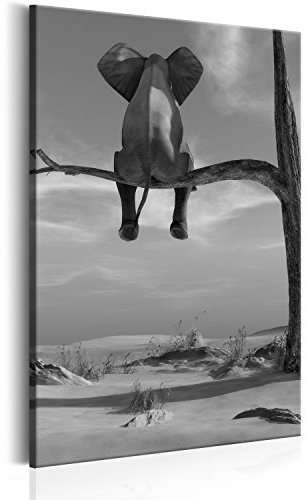 B&D XXL - Wandbilder XXL 80x120 cm 1 tlg - Wand Deko Vlies Leinwand Bilder Groß Wanddeko Wohnzimmer Schlafzimmer Kunstdrucke - Elefant Baum Wüste Tier Natur für Kinder g-B-0033-b-c