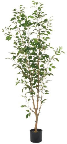 SilksAreForever 6' Ficus Benjamina Leaf Silk Tree w/Pot -Green (Pack of 2)