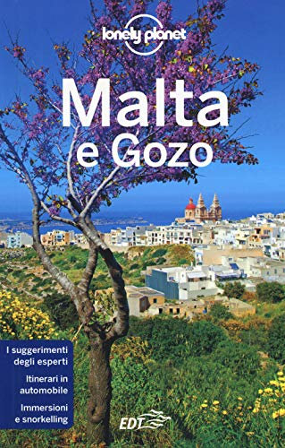 GUIDE EDT/LONELY PLANET