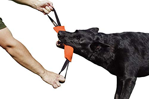Dingo Gear Baumwolle-Nylon Beißwurst für Hundetraining IGP IPO Obiedence Schutzhund Hundesport 28 x 7 cm, 2 Griffen Orange S00083