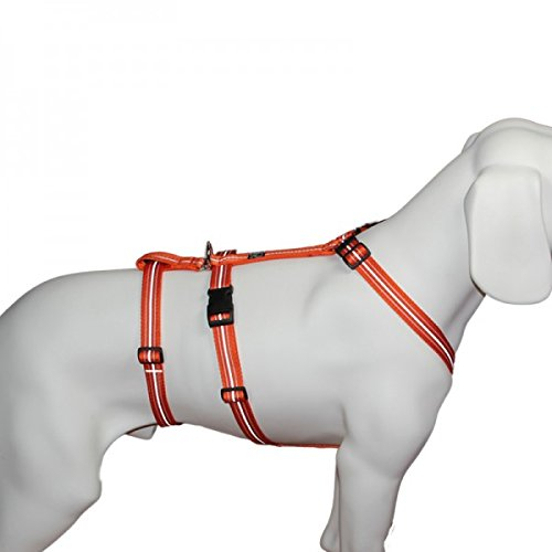 Hoffmann No Exit ausbruchsicheres Hundegeschirr für Angsthund, Sicherheitsgeschirr für Pflegehunde, Reflexband orange, Bauchumfang 55-75 cm, 20 mm Bandbreite