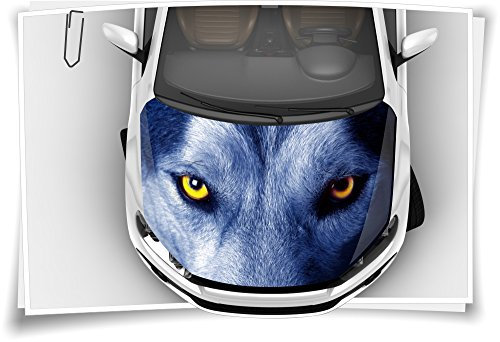 Medianlux Wolf Augen Wild Motorhaube Auto-Aufkleber Steinschlag-Schutz-Folie Airbrush Tuning Car-Wrapping Luftkanalfolie Digitaldruck Folierung