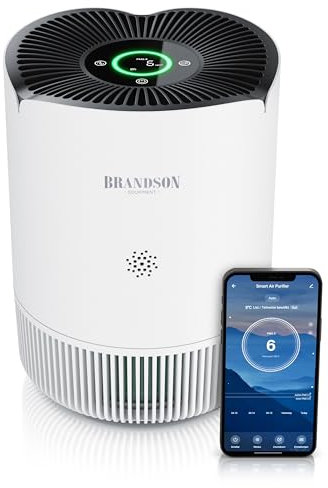 Brandson - Luftreiniger Allergiker 50 m² - Preisträger 2025 - CADR 180 m³/h - Air Purifier - Smart Home mit App - 4 Filterstufen HEPA Aktivkohle – Tierhaare Pollen Staub Schimmel Viren Raucherzimmer