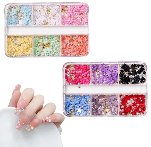 COYUN 2 Boîtes Fleur 3d Ongle Nail Art, Résine Pétale Acrylique Bijoux Ongles Nail Art Ornement Or Et Argent Perles Mixte Diy Bijoux Nail Design Accessoires