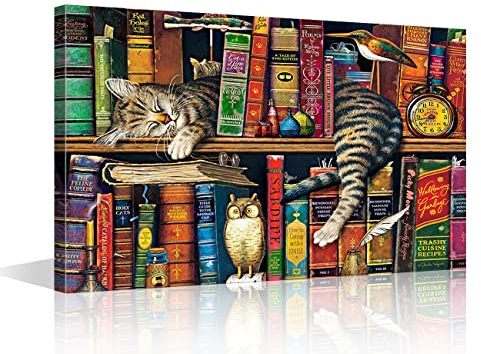 Canvas väggkonst modern canvas konst djur sovande katt abstrakta bilder bokhylla konstverk för vardagsrum sovrum väggdekor kontor väggmålning redo att hänga 40 x 60 cm