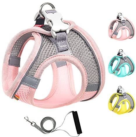 Mitili Arnes Perro Antitirones con Correa, Ajustable Transpirable Reflectantes Cómodo Chalecos Perro, Arnés Juego de Arnés y Correa para Perros y Gatos de Pequeño y Mediano (XS, Fresco Rosa)