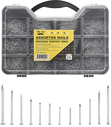 Mr. Pen- Nail Assortment Kit, 1500 Pcs, Assorted 12 Sizes Brad Head and Flat Head Nails, Small Nails for Hanging Pictures Bulk