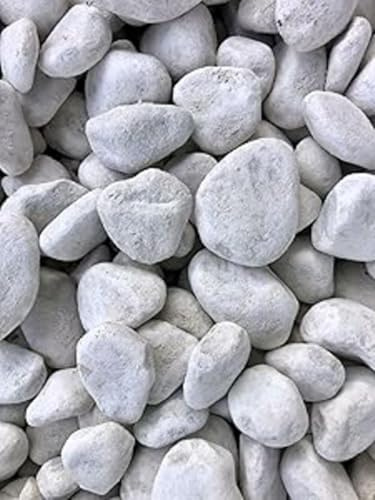 Galets décoratifs blancs Carrara ronds 60/100 mm – 20 KG