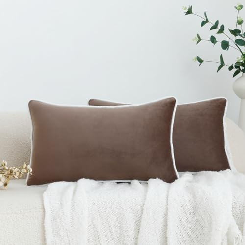 LIGICKY 2er Set Luxus Dekorative Kissenbezug Samt Weich Zierkissenbezüge Einfacher Rechteckiges Lendenkissen Kissenbezüge Deko Sofakissen für Wohnzimmer Couch Schlafzimmer Auto, Braun 30 x 50 cm