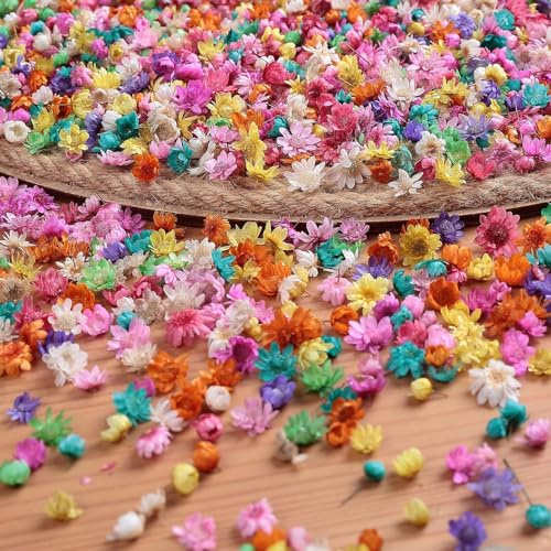 yufana 280 Stück Getrocknete Blüten, Getrocknete Blumen Echte, Kunstblumen Basteln Blumen, DIY Gepresste Blumen, Geeignet für Heimdekoration, Bastelarbeiten, Kränze, Scrapbooking, Haarschmuck (Farbe)