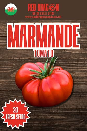 Marmande Tomato Seeds - 20 Fresh Marmande Tomato Seeds