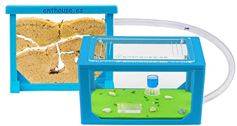Anthouse - Natürliche Ameisenfarm aus Sand | 3D Blau Mini Set (Sandwich + Futterbox) | Inklusive Ameisenkolonie