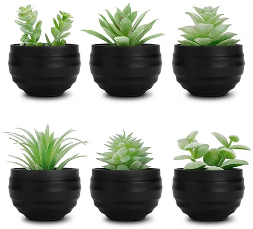 Der Rose Set of 6 Succulents Plants Artificial in Pots Small Fake Plants for Halloween Decorations Bedroom Living Room Office Shelf Black Bathroom Decor