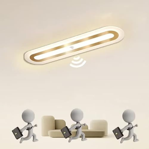LED Deckenleuchte mit Bewegungsmelder 44W Flurlampe mit Sensor Deckenlampe aus Acryl mit Tageslichtsensor Modern Deckenbeleuchtung für Flur Schlafzimmer Korridor Balkon Gang Treppe Veranda Küche Lampe