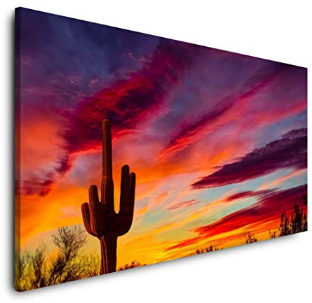 Kaktus im Sonnenuntergang 120x 60cm Panorama Leinwand Bild XXL Format Wandbilder Wohnzimmer Wohnung Deko Kunstdrucke