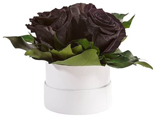 Infinity Rosenbox weiß rund konservierte Blumen Schwarz - 3 infinity Rosen Durchmesser 15 cm - Geschenkideen für Frauen (Schwarz, Medium)
