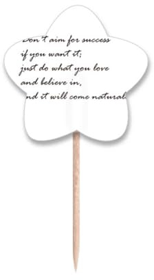 Don't Aim for Success If You Want It - Palillos de dientes, diseño de estrella, palillos para cupcakes