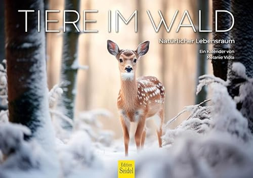 Edition Seidel Calendario premium de animales en el bosque 2026, formato DIN A5, calendario de pared, calendario de animales, animales del bosque, hábitat natural, Melanie Viola