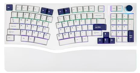MechLands Feker Alice98 Ergonomic 98 Keys Custom Mechanical Keyboard, VIA Programmable, USB-C Wired Gaming Keyboard, Hot Swappable, 5 Layer Paddings, Control Knob, NKRO, RGB for Win/Mac (White)