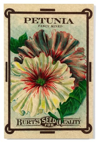 Lantern Press 12x18 Inch Premium Wood Sign, Ready to Hang Wall Decor, Petunia Seed Packet